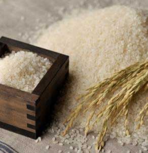 Albumin Ditemukan Dalam Beras