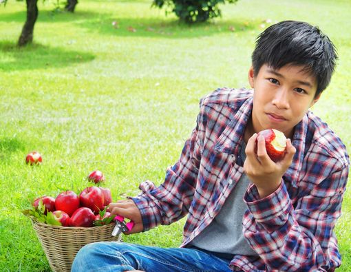 Terlalu Banyak Makan Buah Picu Diabetes Tipe 2?