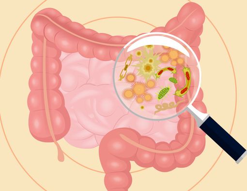 Saat Diare, Ini yang Dilakukan Bakteri dalam Pencernaan