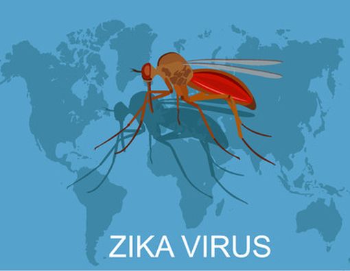 Zika, Virus Lama yang Muncul Kembali