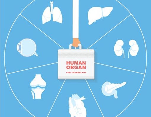 Transplantasi Organ, Perlukah Dilakukan?