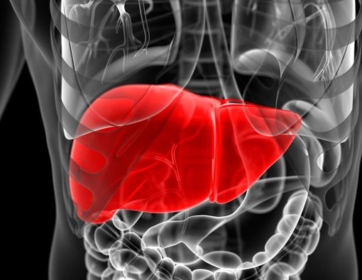 Fakta Detoks Liver, Ampuh atau Tidak? Ini Kata Dokter