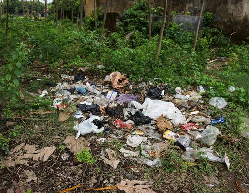 Kebiasaan Buang Sampah Sembarangan Bisa Sebabkan Penyakit Ini
