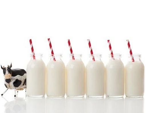 Untuk Anak yang Lepas ASI, Susu UHT atau Formula?