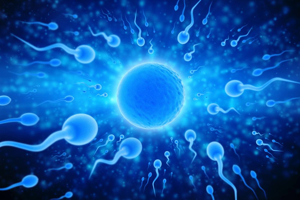 6 Pola Hidup untuk Tingkatkan Kualitas Sperma
