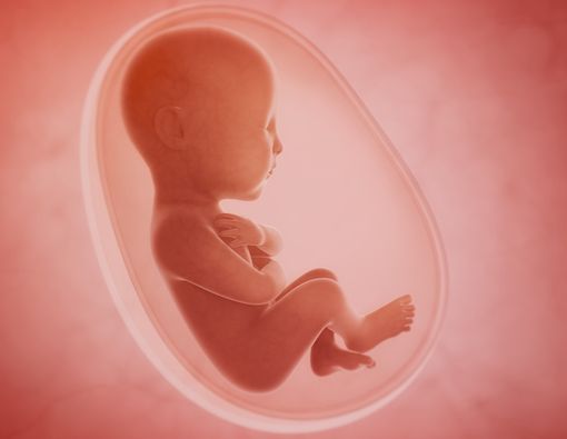 Penyebab Janin Tak Berkembang