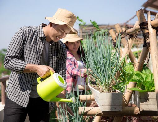 Menilik Manfaat Urban Farming untuk Kesehatan