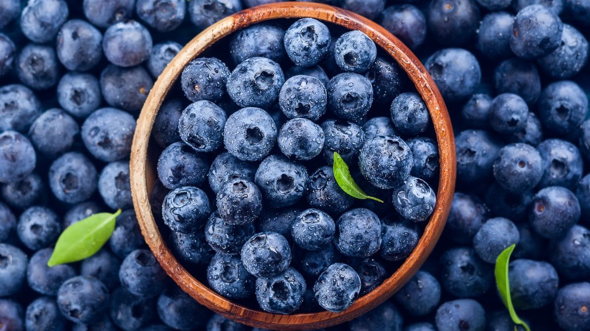 Bahaya Mengonsumsi Buah Blueberry Terlalu Banyak KlikDokter