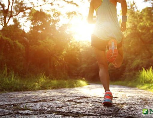 Waspada Efek Buruk dari Olahraga Berlebihan!