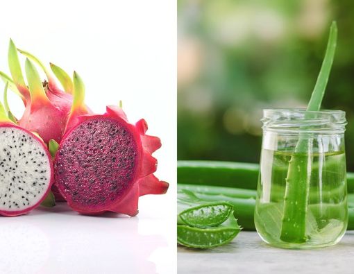 Bagus Mana Buah Naga atau Lidah Buaya untuk Atasi Sunburn?