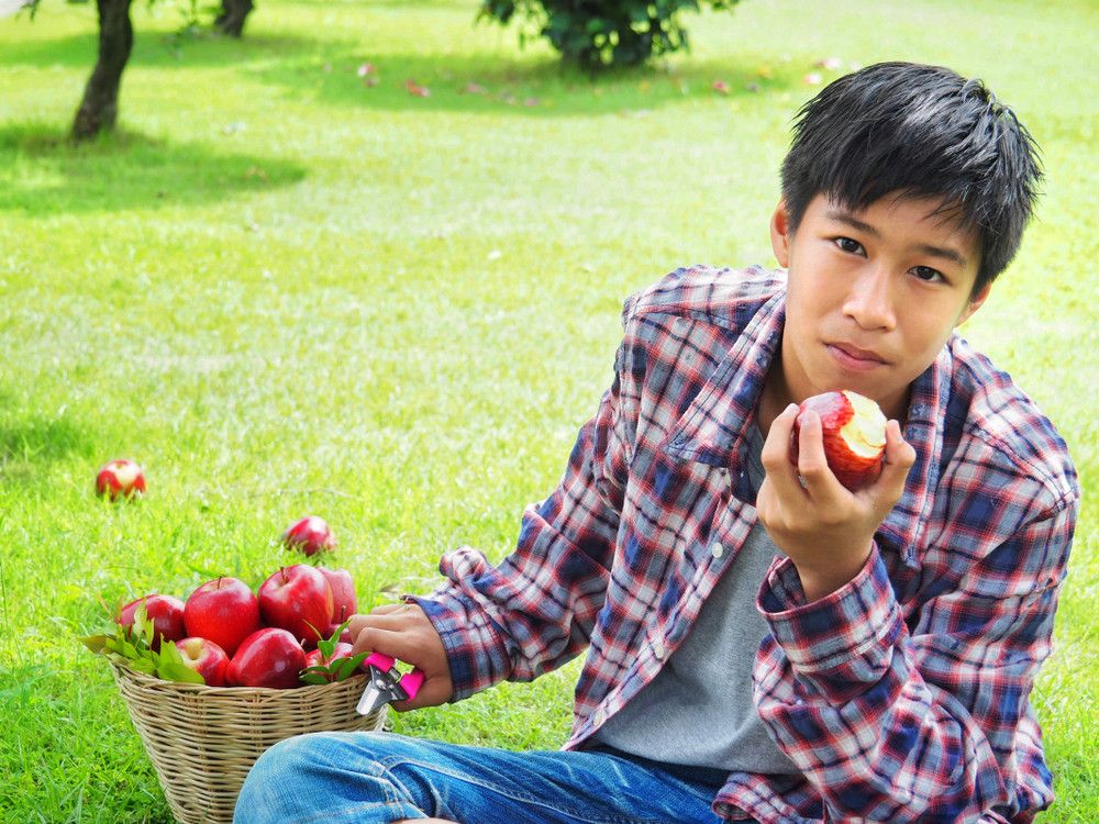 Terlalu Banyak Makan Buah Picu Diabetes Tipe 2?