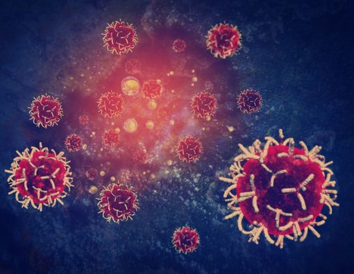 Mengenal Autophagy dan Peran Pentingnya dalam Kesehatan Sel NK