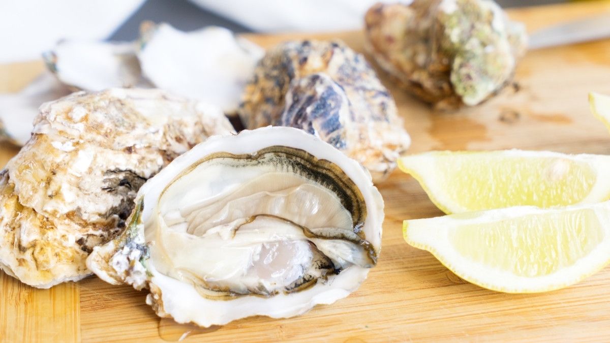 Aturan Menambahkan Kerang untuk MPASI Bayi