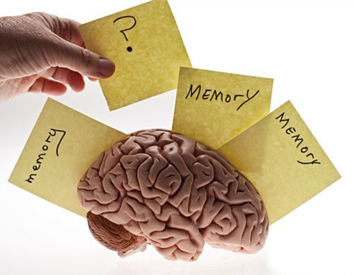 Tips Menjaga Daya Ingat