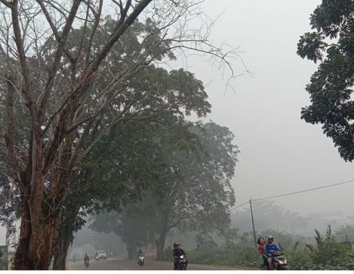 Bagaimana Cara Melindungi Bayi dari Kabut Asap?