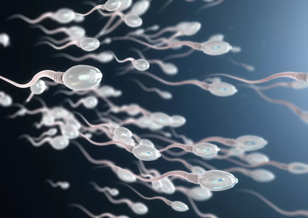 Ingin Sperma Anda Sehat? Konsumsi 5 Makanan Ini