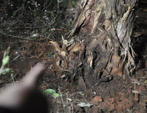 Ledakan di Senayan Saat Nobar Debat Capres Telan Korban