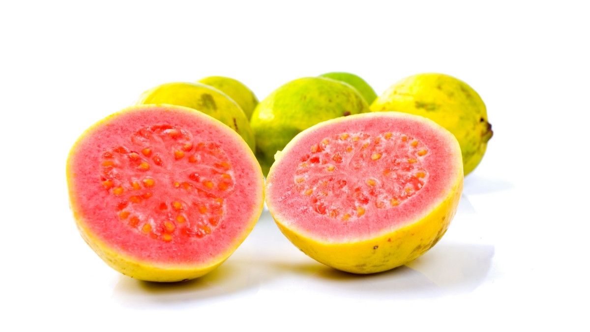 Manfaat Mengonsumsi Jambu Biji Saat Hamil