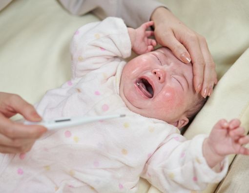 12 Pertolongan Pertama pada Bayi yang Terkena Demam Berdarah
