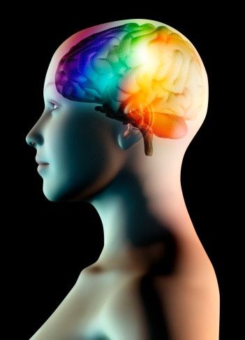 Ukuran Amygdala Dalam Otak Menentukan Luasnya Jaringan Sosial Anda