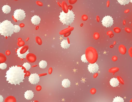 Trombosit Turun Bukan Karena Demam Berdarah Dengue, Apa Sebabnya?