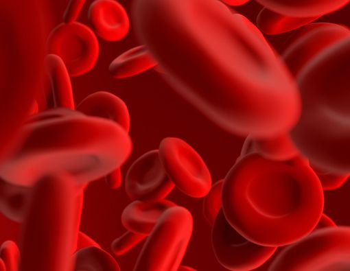 5 Fakta tentang Leukemia yang Perlu Anda Tahu