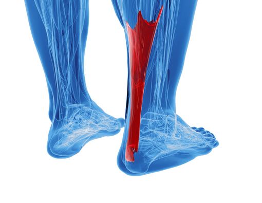 Benarkah Diabetes Bisa Merusak Tendon?