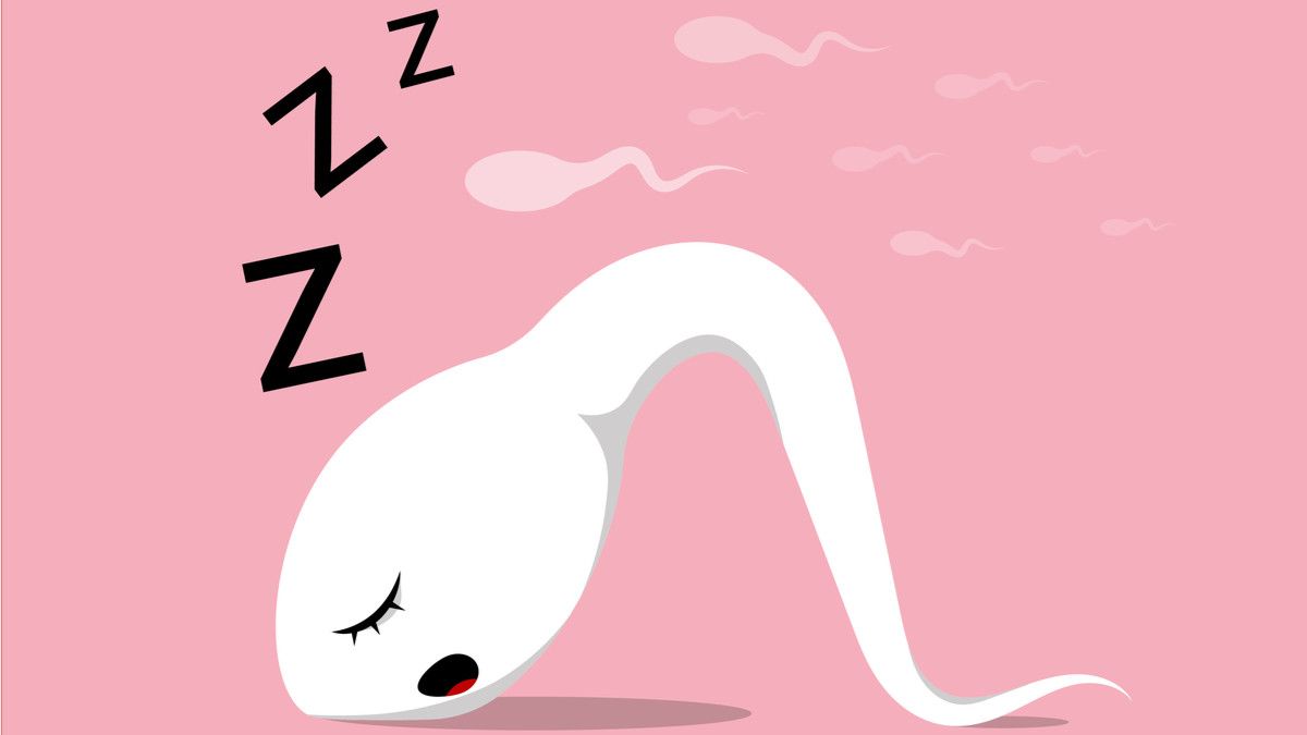 Polusi Udara Bisa Menurunkan Kualitas Sperma Pria