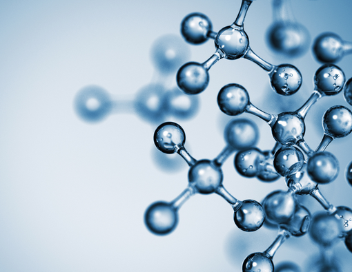 Fungsi Mitokondria dari Pengertian, Peran, dan Pentingnya bagi Sel