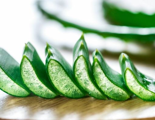Awas, Banyak Makan Lidah Buaya Tingkatkan Risiko Kanker Usus Besar!