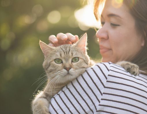Bahaya Mengidap Toksoplasma pada Ibu Hamil