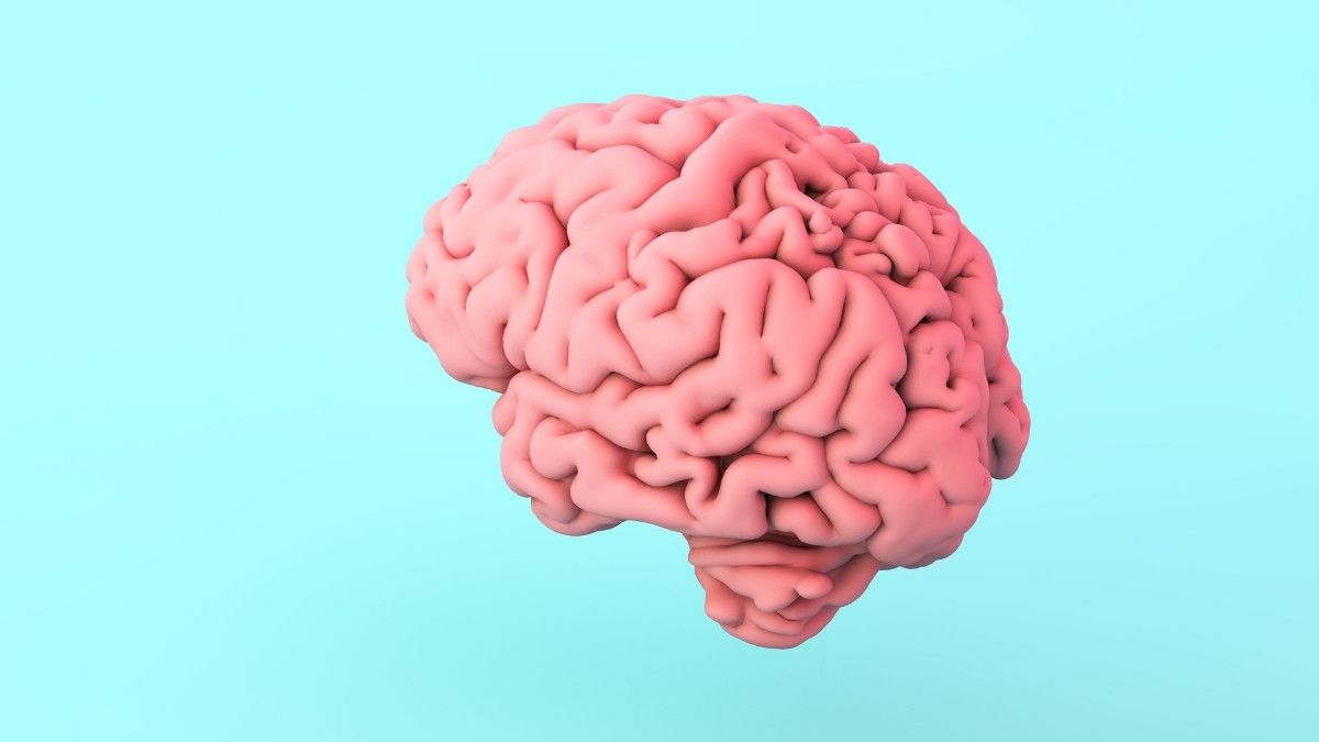 Hal-Hal yang Terjadi di Otak Ketika Melihat Pornografi