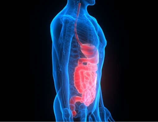 Bagaimana Kondisi Pencernaan dan Emosi Saling Memengaruhi?