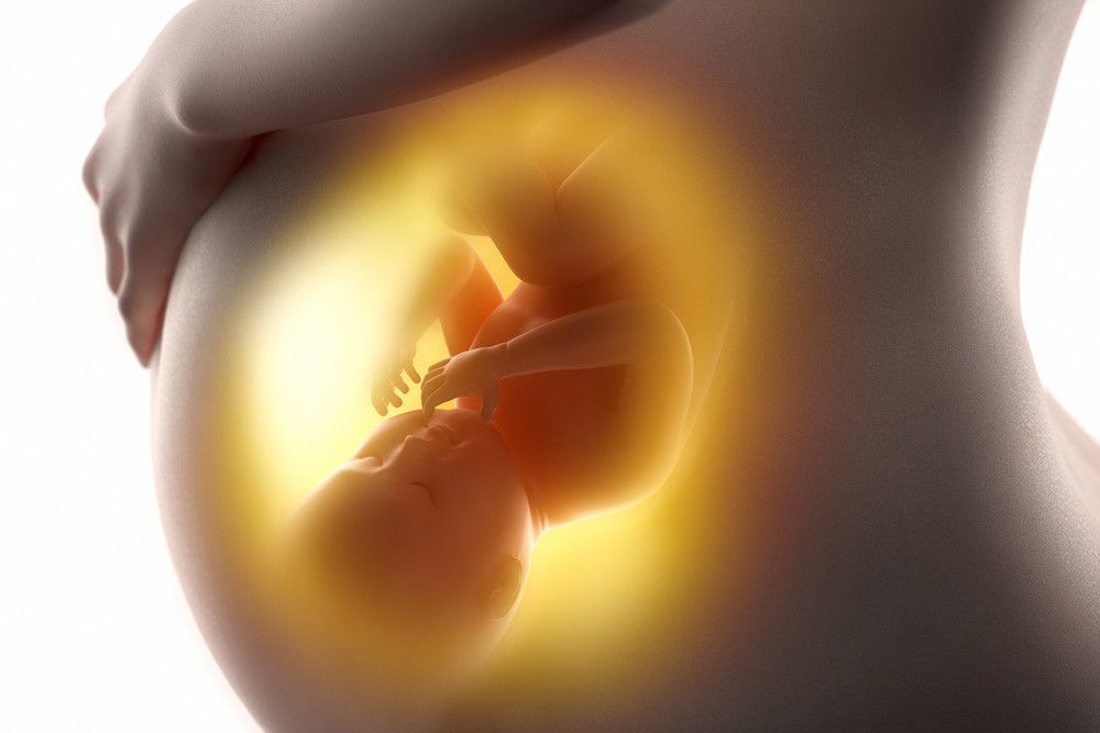 Apa yang Dilakukan Bayi di Dalam Perut Ibu?