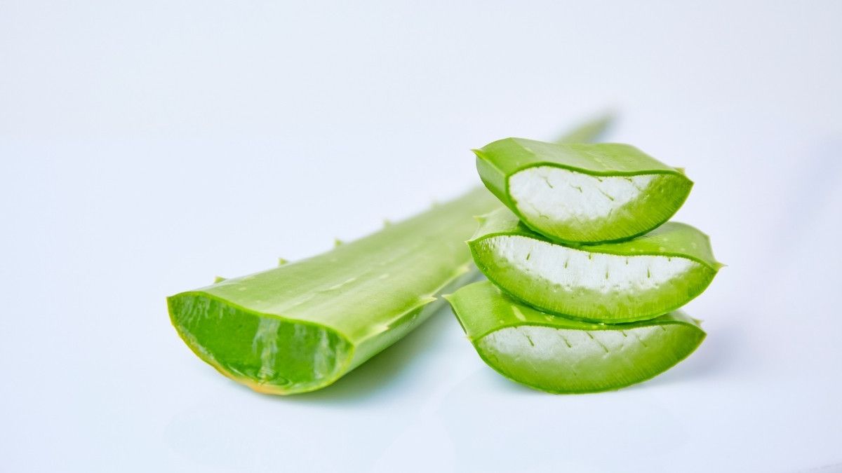 Obat Herbal yang Diklaim Bermanfaat untuk Pasien HIV/AIDS