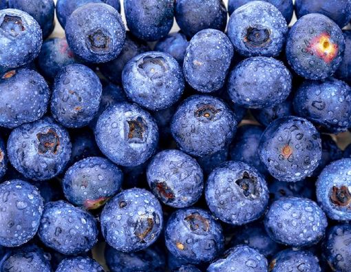 Manfaat Ekstrak Blueberry untuk Cegah dan Obati Kanker