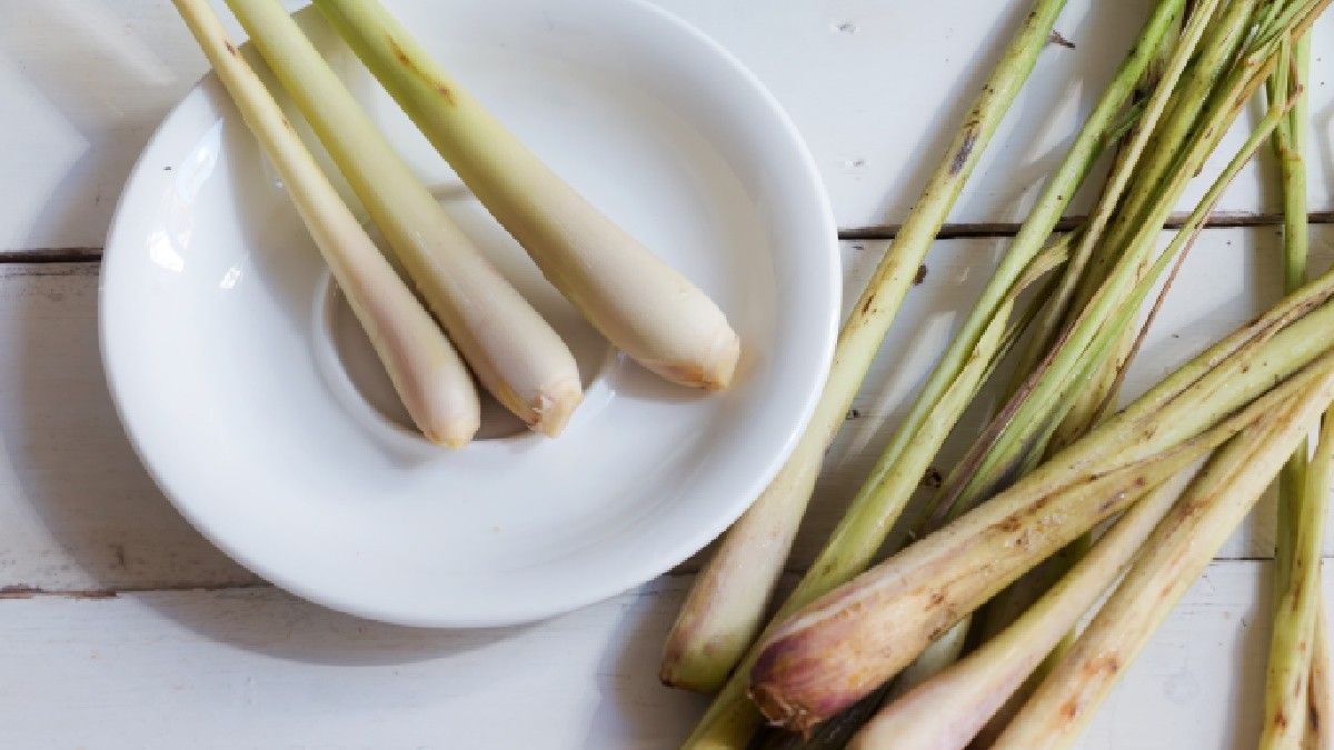 Manfaat Serai untuk Ibu Hamil yang Sayang Dilewatkan