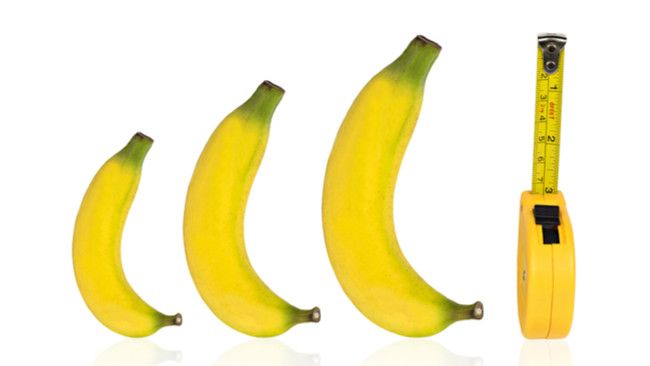 Pengaruh Ukuran Penis dan Performa Seksual (Good Luck Photo/Shutterstock)