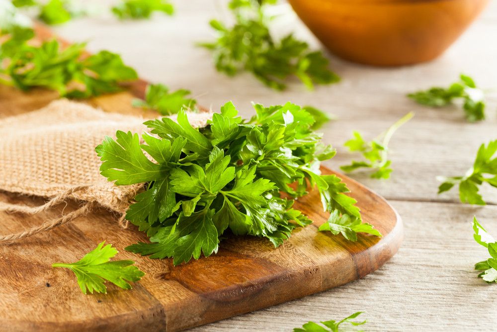 Daun Parsley, si Penghias Makanan, Adakah Gizinya?