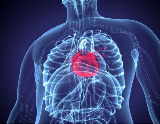 Berapa Lama Istirahat Setelah Operasi Jantung?