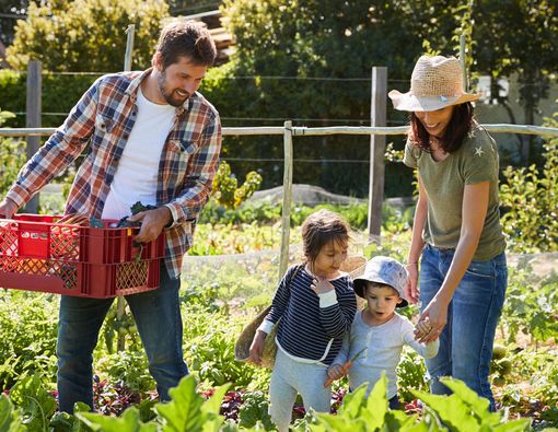 6 Aktivitas Sehat yang Bisa Anda Lakukan Bersama Keluarga