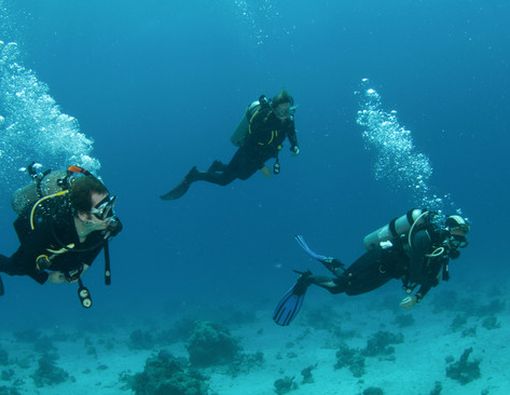 Kenali Gangguan Pendengaran Saat Olahraga Menyelam