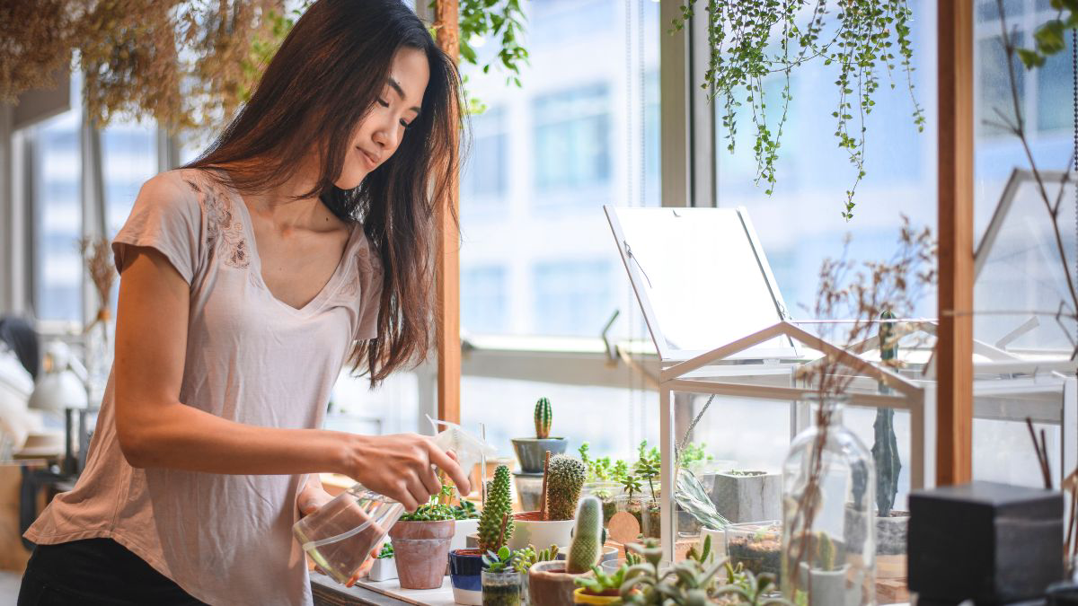Jenis Tanaman Sukulen yang Bisa Dimakan dan Manfaatnya