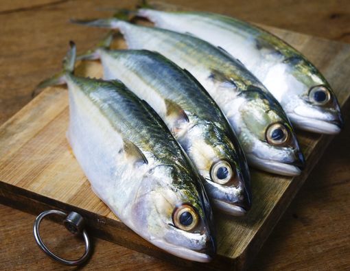 Ikan Kembung, Sumber Omega-3 yang Tak Kalah dari Salmon