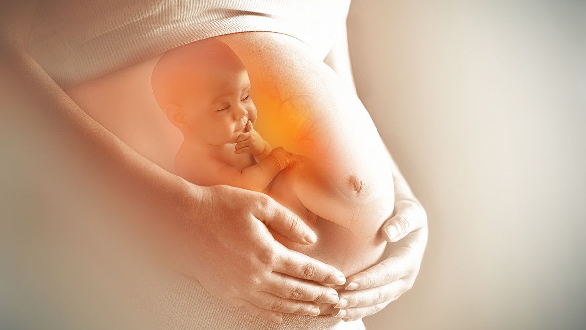 Bayi dalam Kandungan Ternyata Sudah Pintar Lho, Ini Faktanya!