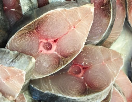 Apa Efek Samping Makan Ikan Tongkol yang Tidak Segar?