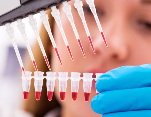 Waspada Klinik Stem Cells Palsu, Ini Fakta Sel Punca di Indonesia