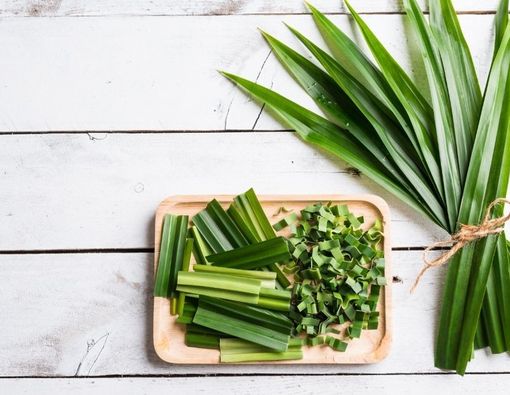 Manfaat Daun Pandan untuk Kecantikan Kulit Anda