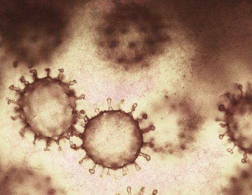 Peneliti Temukan Mutasi Virus Corona Hybrid, Apa Itu?