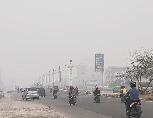 Kabut Asap Makin Pekat, Ini 7 Tips Perlindungan Diri